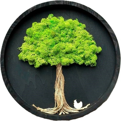 Machový obraz - Strom v kruhu Veľkosť rámu: 40cm