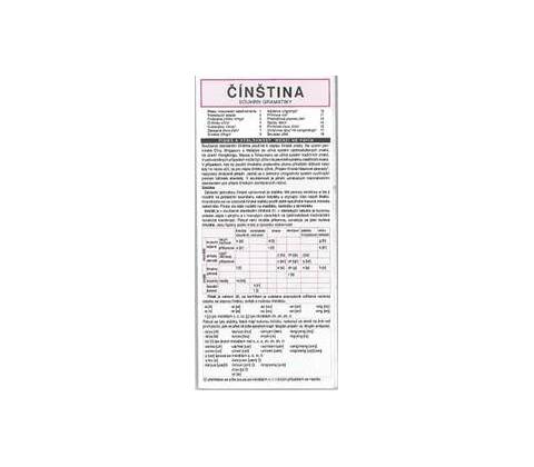 Čínština