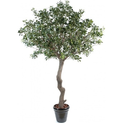Luxusní umělý strom PITTOSPORUM STROM, 260cm
