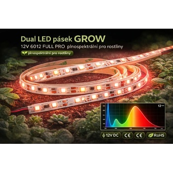 T-LED 078081