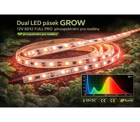 T-LED 078081