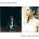 PJ Harvey & John Parish - A Woman A Man Walked By (LP) (0602507254001)