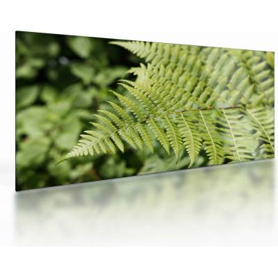 Skleněný obraz - Kapradinový list, jednodílný 100x50 cm na skle – Hledejceny.cz
