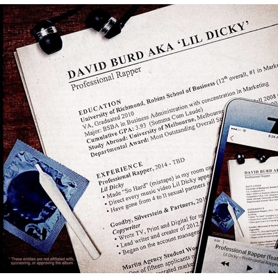 Professional Rapper Lil Dicky Vinyl Album