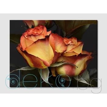 Image 1 of Рози в огнено оранжево (30086)