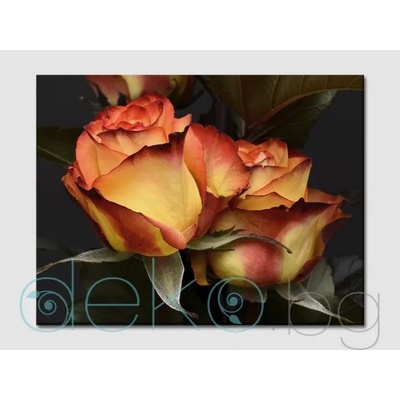 Рози в огнено оранжево (30086)