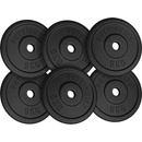 PHYSIONICS súprava činkových kotúčov liatina 6 x 5 kg 31 mm