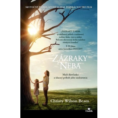 Zázraky z neba - Christy Wilson Beam