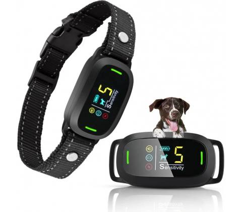 Reedog S1