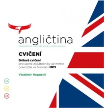 Angličtina - Nepustilova metoda – Cvičení - Vladimír Nepustil