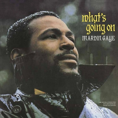 GAYE MARVIN: WHATS GOING ON LP