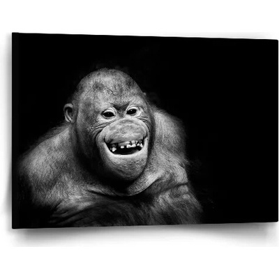 Sablio Obraz Orangután - 60x40 cm