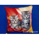 Dadka vankúš Mačiatka v ohni 40x40