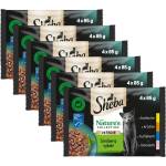Sheba Natures Collection Консерва смесен асортимент в сос 6 x (4 x 85 г)