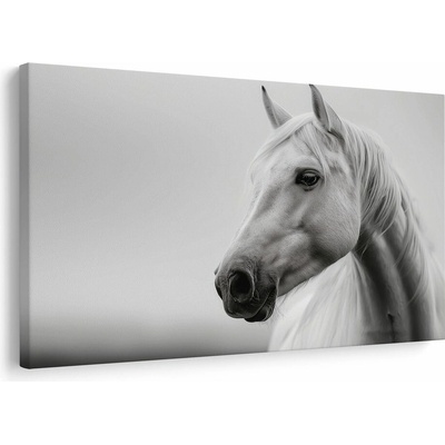 Obraz bílý kůň v mlze - 60x40