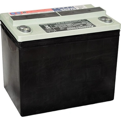 C&D Technologies DCS-33UNC RIT 30Ah 12V