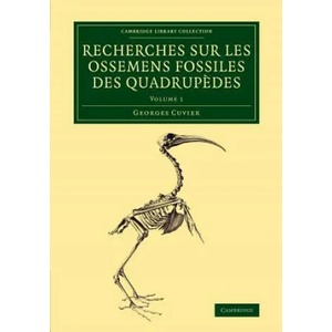 Recherches sur les ossemens fossiles des quadrupedes | Georges Cuvier (ISBN: 9781108083751)