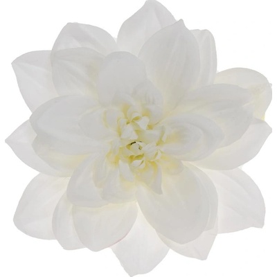 HLAVA DAHLIA 14CM BAL.12KS BIELA