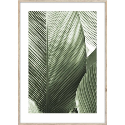 Obraz v ráme Macro list, 70 × 50 cm, OB-14048