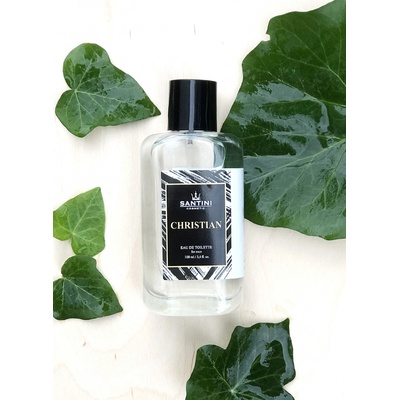 Santini Christian toaletná voda Pánska 100 ml
