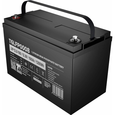 T6 Power 12 V 100 Ah