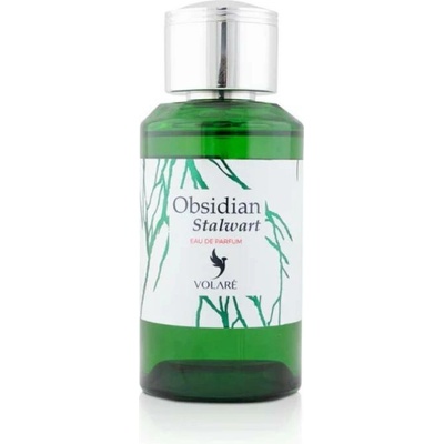 Volare obsidian stalwart parfémovaná voda unisex 100 ml
