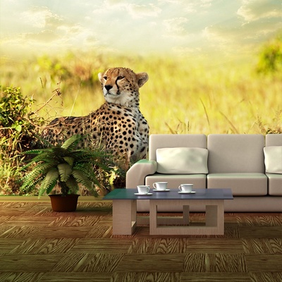 Tapeta SABLIO Gepard, rozměry 336x220 cm