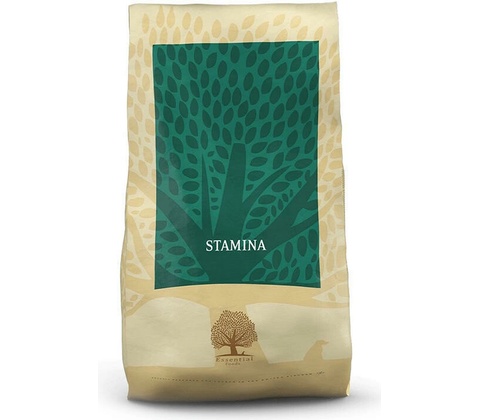 Essential Stamina 10 kg