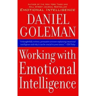 Working With Emotional Intelligence | Daniel Goleman
