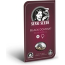 Sensi Seeds Black Domina semena neobsahují THC 3 ks
