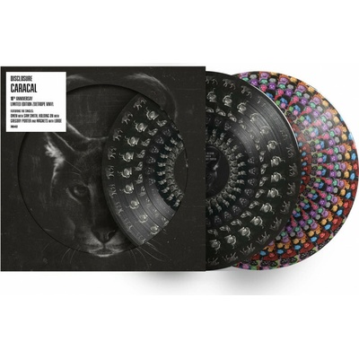 DISCLOSURE - CARACAL LP