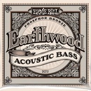 Ernie Ball 2070
