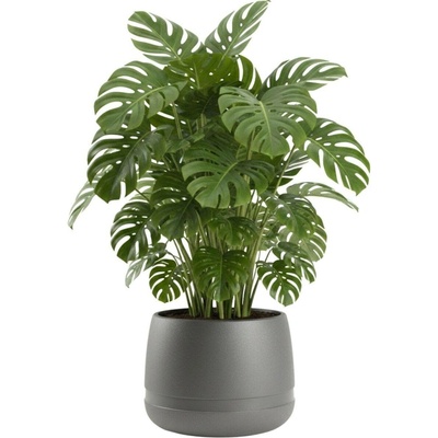 HowHomely PLASTOVÝ KVĚTINÁČ LUNA VASE 48X38 CM ANTRACITOVÁ