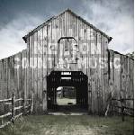 Willie Nelson - Country Music (CD) (0888072748866)