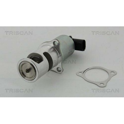 AGR-Ventil TRISCAN 8813 24037 (881324037)