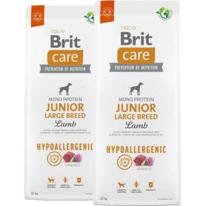 Brit Care Dog Хипоалергенен Юниор Големи Породи 2 x 12 кг