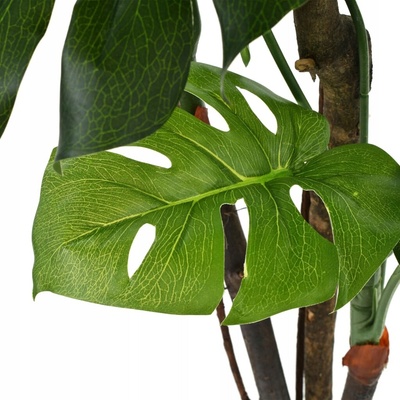 Nabytek XL Umělá rostlina monstera s květináčem 70 cm zelená