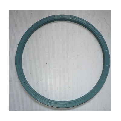 Gufero AS 170x190x9 WDR HNBR