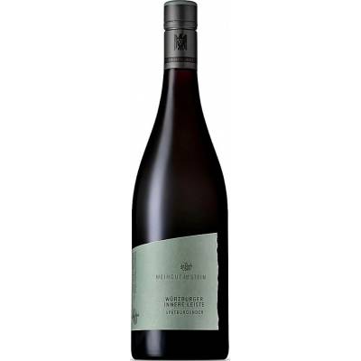 Weingut Am Stein Rulandské modré červené 2022 12,5% 0,75 l (holá láhev)