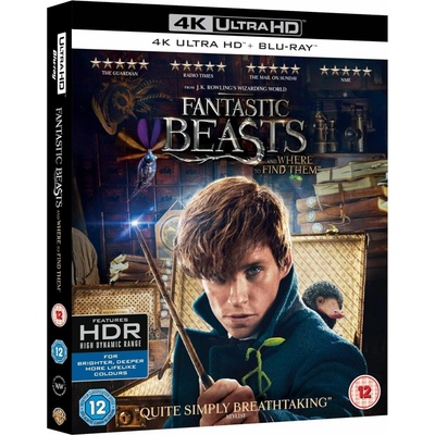 Fantastická zvířata a kde je najít 4K BD