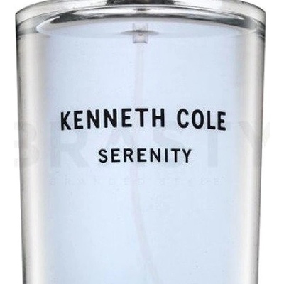 Kenneth Cole Serenity toaletní voda pánská 100 ml