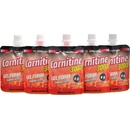 Carne Labs L-Carnitin 3000 gel 60 g