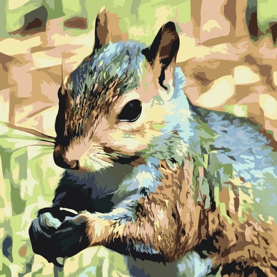 Vymalujsisam Malování podle čísel Veverka