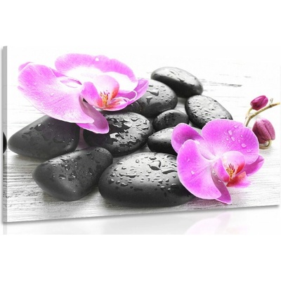 Obraz krásna súhra kameňov a orchidey