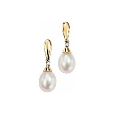 Elements gold zlaté náušnice (9 ct žlté zlato) GE780W