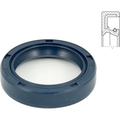 TS Gufero 54x70x8 WAS BLUE DIN3760