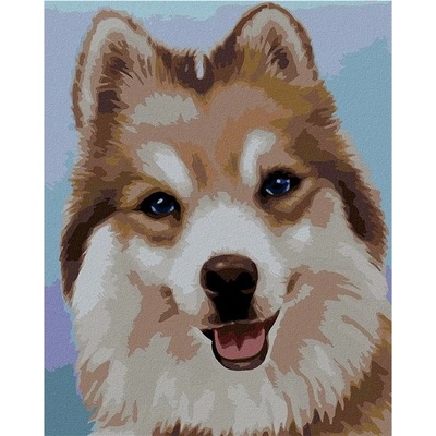 zuty Malování Podle Čísel Husky Myroslava Voloschuk 80 x 100 Cm Plátno Rám