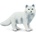 Safari Ltd Safari® Полярна лисица (S282329)