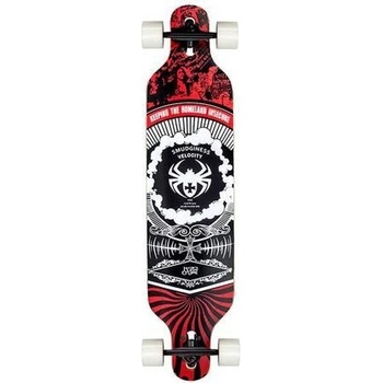 Nils Spider 41