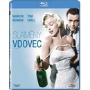 Slaměný vdovec BD